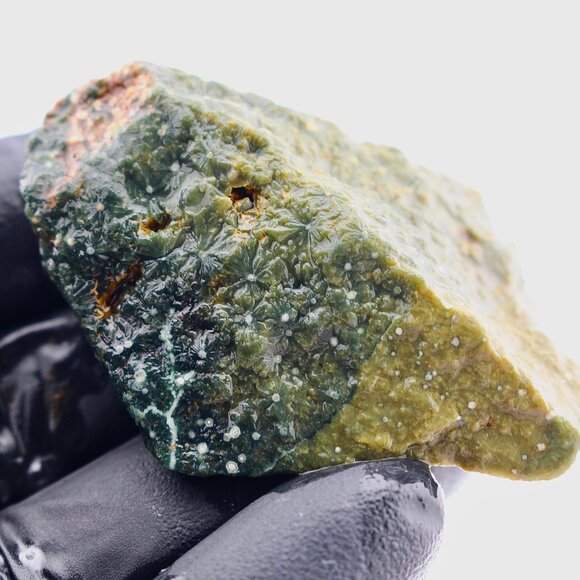 765g Kabamby Ocean Jasper Rough: Orbicular Madagascar Stone  Gemmy Ocean Jasper Kabamby Old Stock Madagascar Raw Rough Stone Crystal Orbs